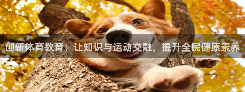 杏鑫2官网