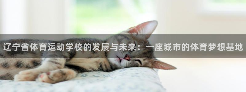 杏鑫凯捷平台注册链接