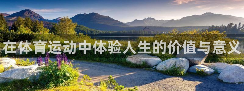 杏鑫体育老板是谁
