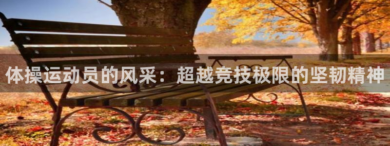 杏鑫体育凯捷代理注册