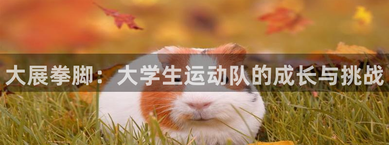 杏鑫官网入口