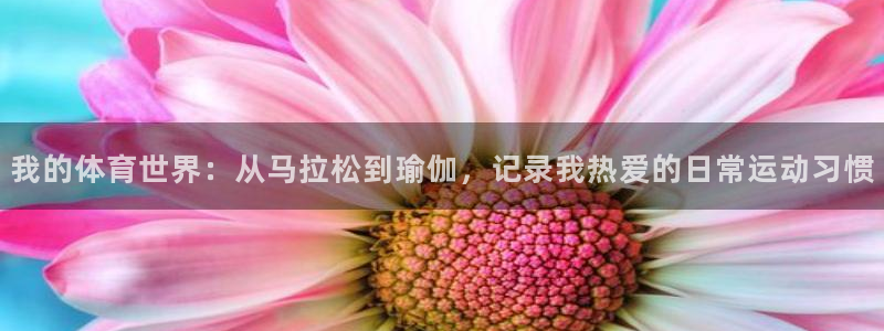 杏鑫2代理注册