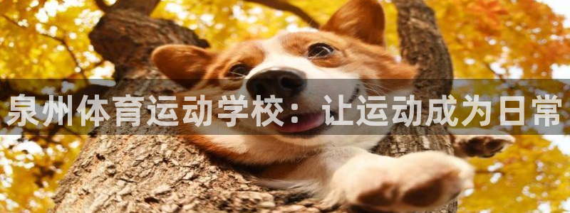 福建杏鑫机电股份公司