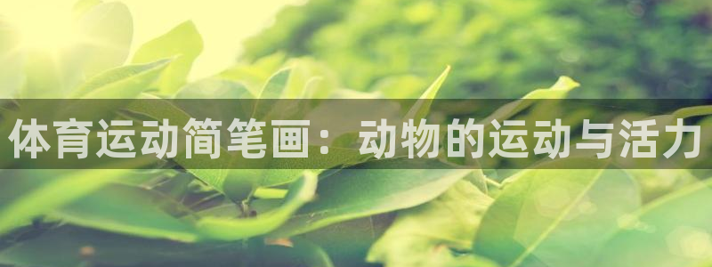 杏鑫3官网