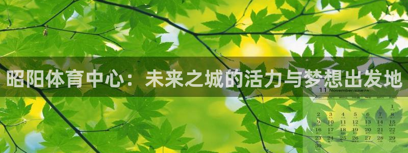 杏鑫体育2官网入口