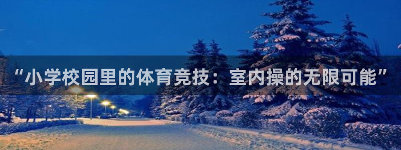 杏鑫凯捷平台