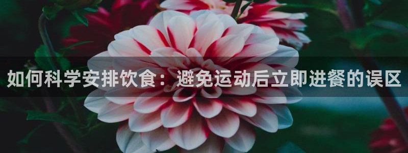 杏鑫体育用品