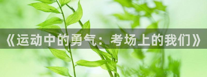 德国杏鑫集团