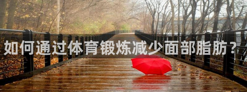杏鑫代理