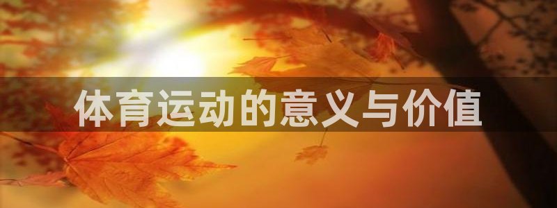 杏鑫体育