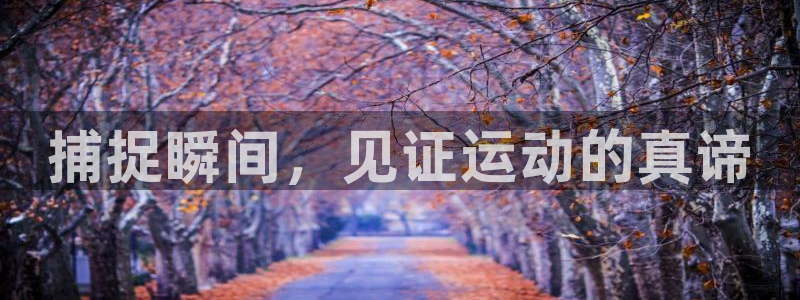 杏鑫平台主管