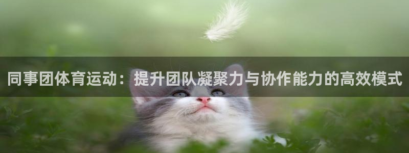 杏鑫体育注册
