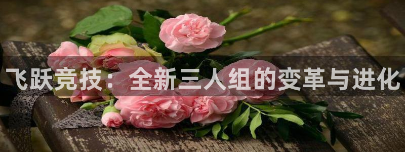 杏鑫5
