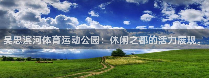 上海杏鑫汽车电子有限公司