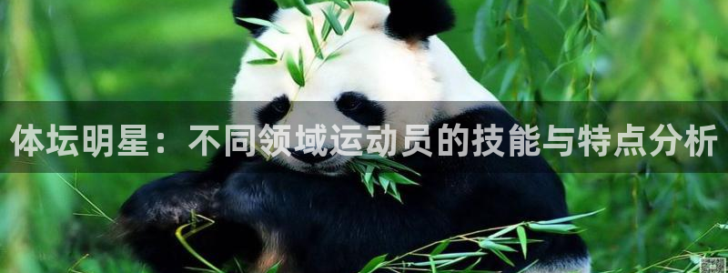 杏鑫体育3在线注册