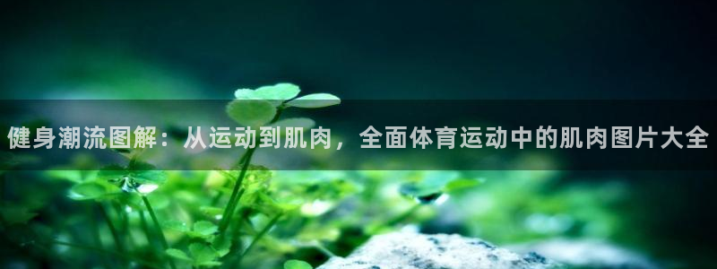 杏鑫官网注册
