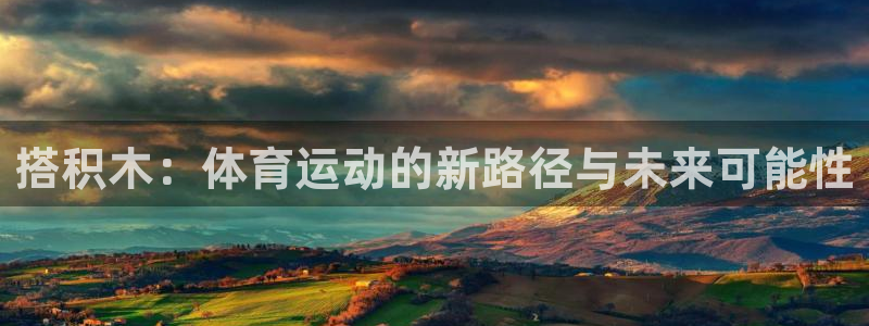上海杏鑫汽车电子有限公司