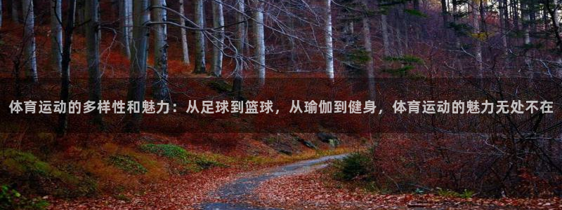 杏鑫体育代理