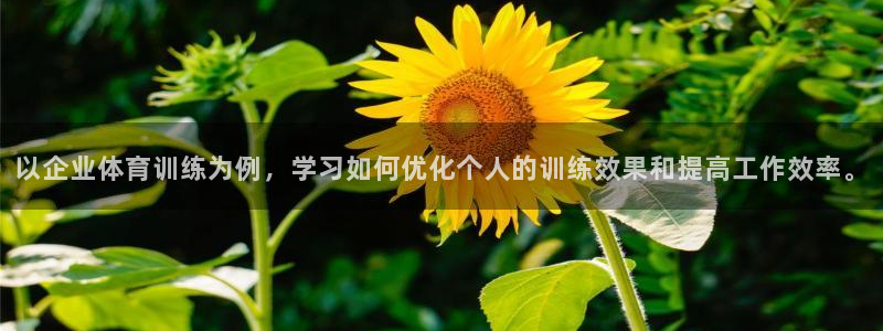 杏鑫3平台登录注册