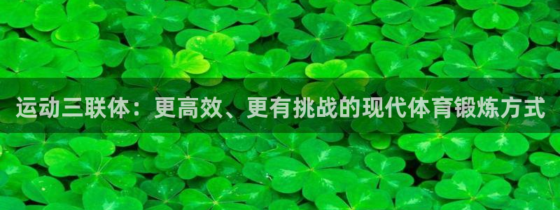 杏鑫体育3在线注册