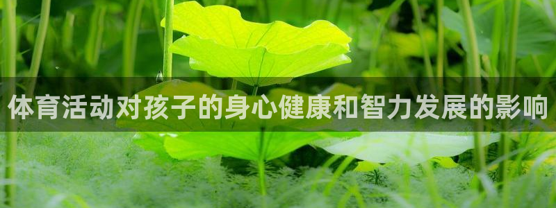 杏鑫平台总代理