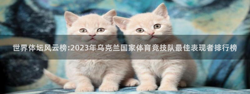 杏鑫体育4
