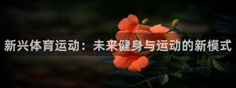 杏鑫官网
