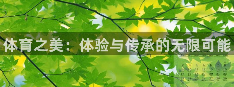 杏鑫3