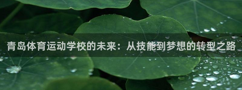 杏鑫官网注册