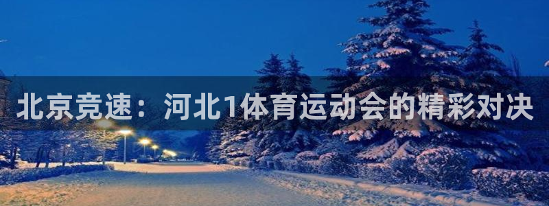 杏鑫招商