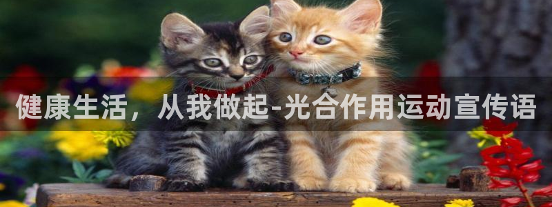 福建杏鑫机电股份公司