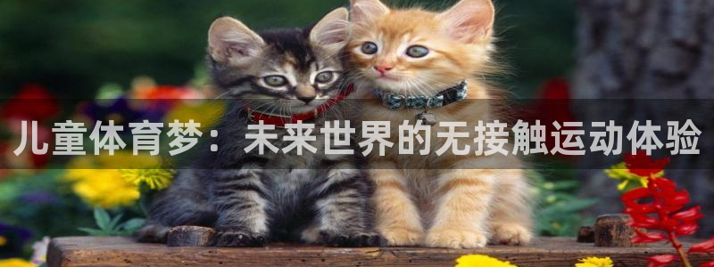 杏鑫凯捷平台