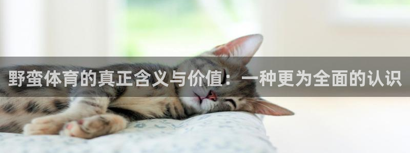 杏鑫平台注册入口