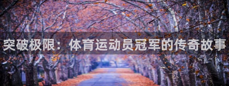 杏鑫代理