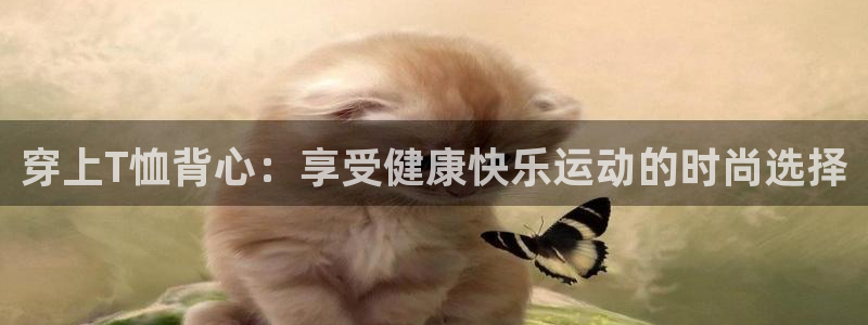 杏鑫5招商