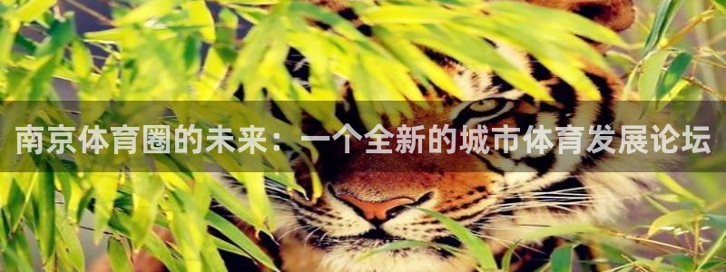 杏鑫3平台注册