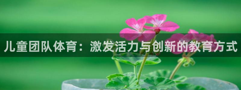 杏鑫体育热门赛事有哪些
