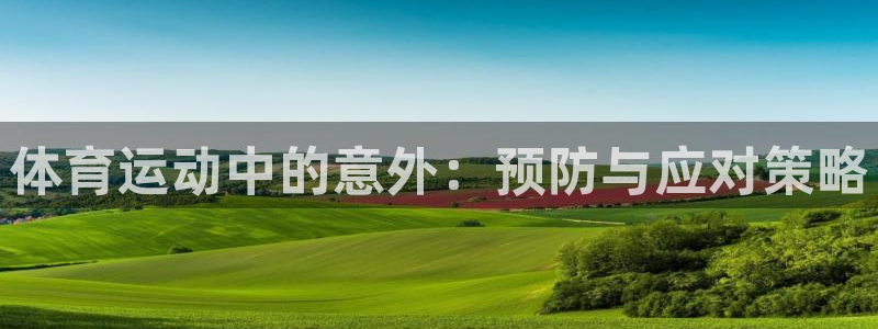 杏鑫4登录
