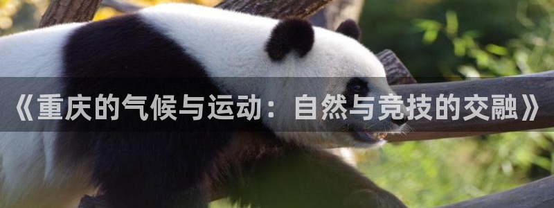 杏鑫f凯捷注册